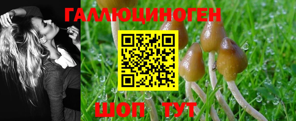 Новотроицк  Галлюциногенные грибы ЛСД  Галлюциногенные грибы Psilocybe  Вход с VPN 